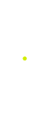 arrow-icon
